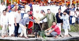 পাবনার সাদুল্লাপুর কোলে পোনামাছ অবমুক্তকরণ