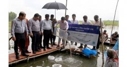 জলাশয়ে দেশীয় মাছের পোনা অবমুক্ত করেছে স্কয়ার এগ্রোভেট